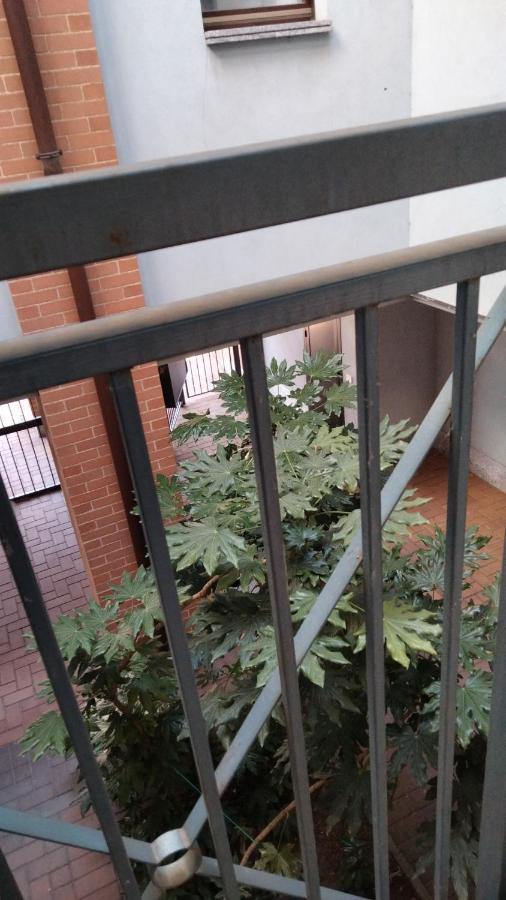 Ama Cityhouse Novara Exterior foto